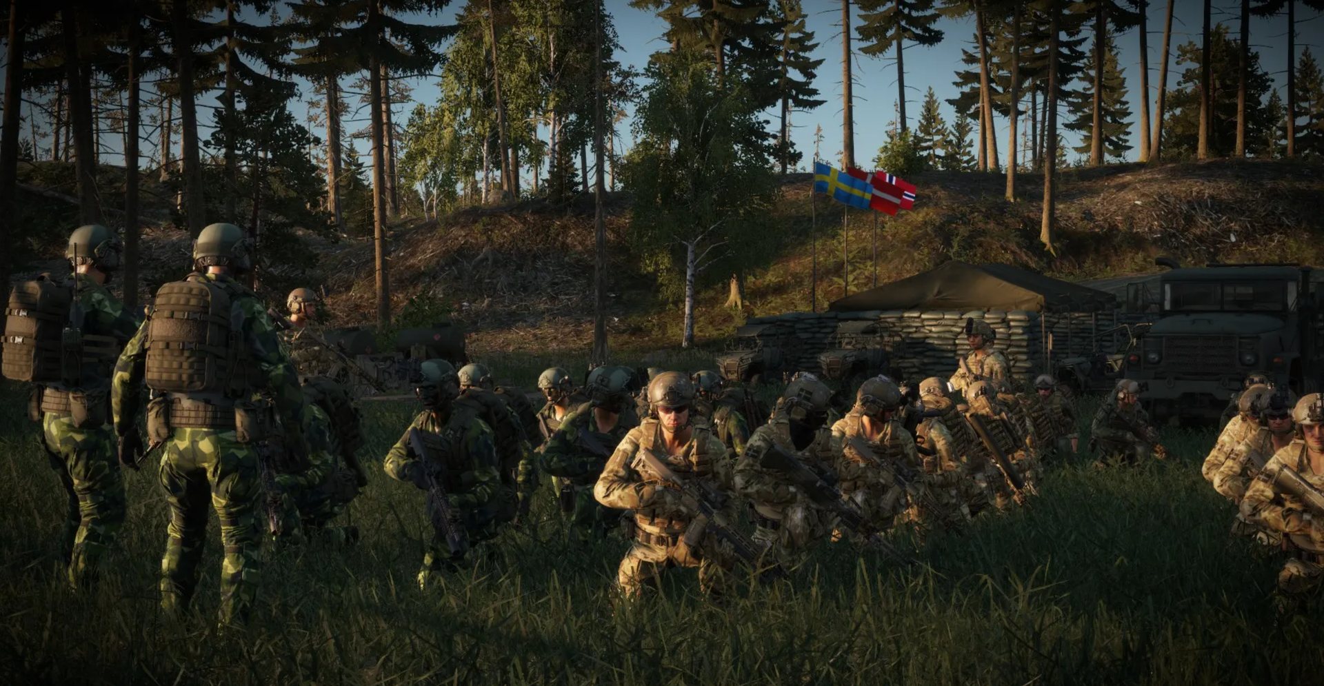 Detta är NJO Nordic Joint Operations
